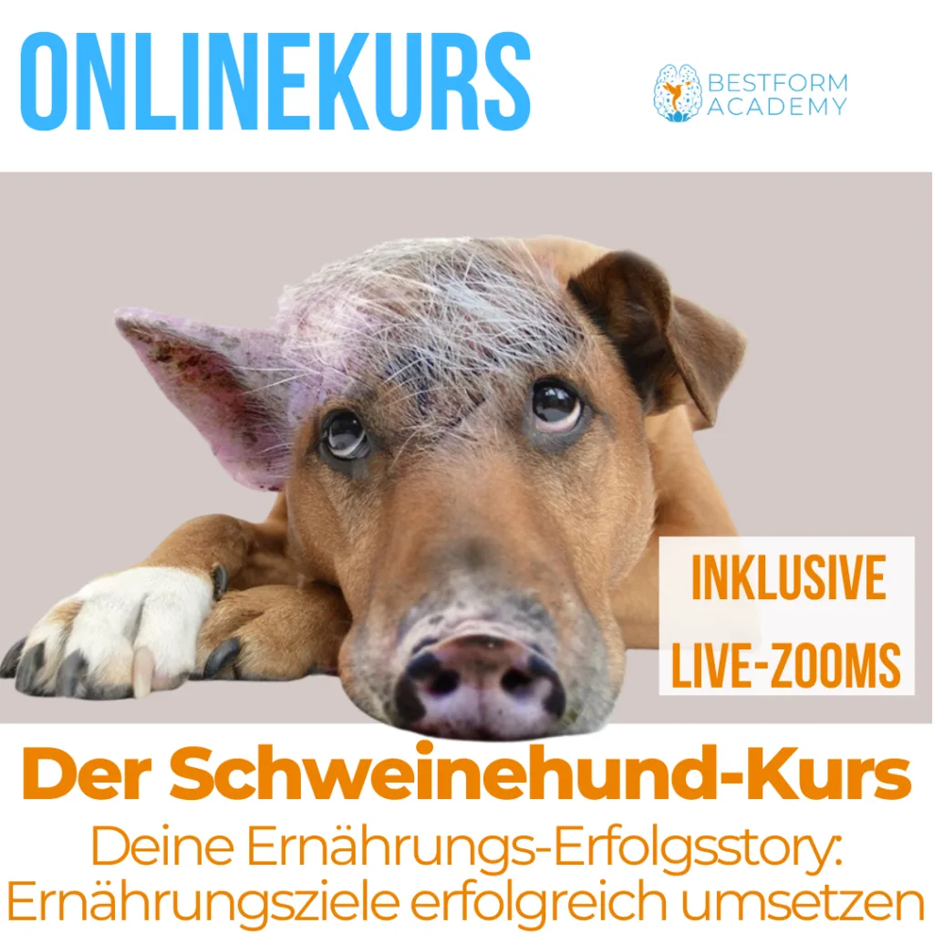 Löse deine Glaubenssätze und Muster in unserem Onlinekurs auf für nachhaltigen Ernährungserfolg! 