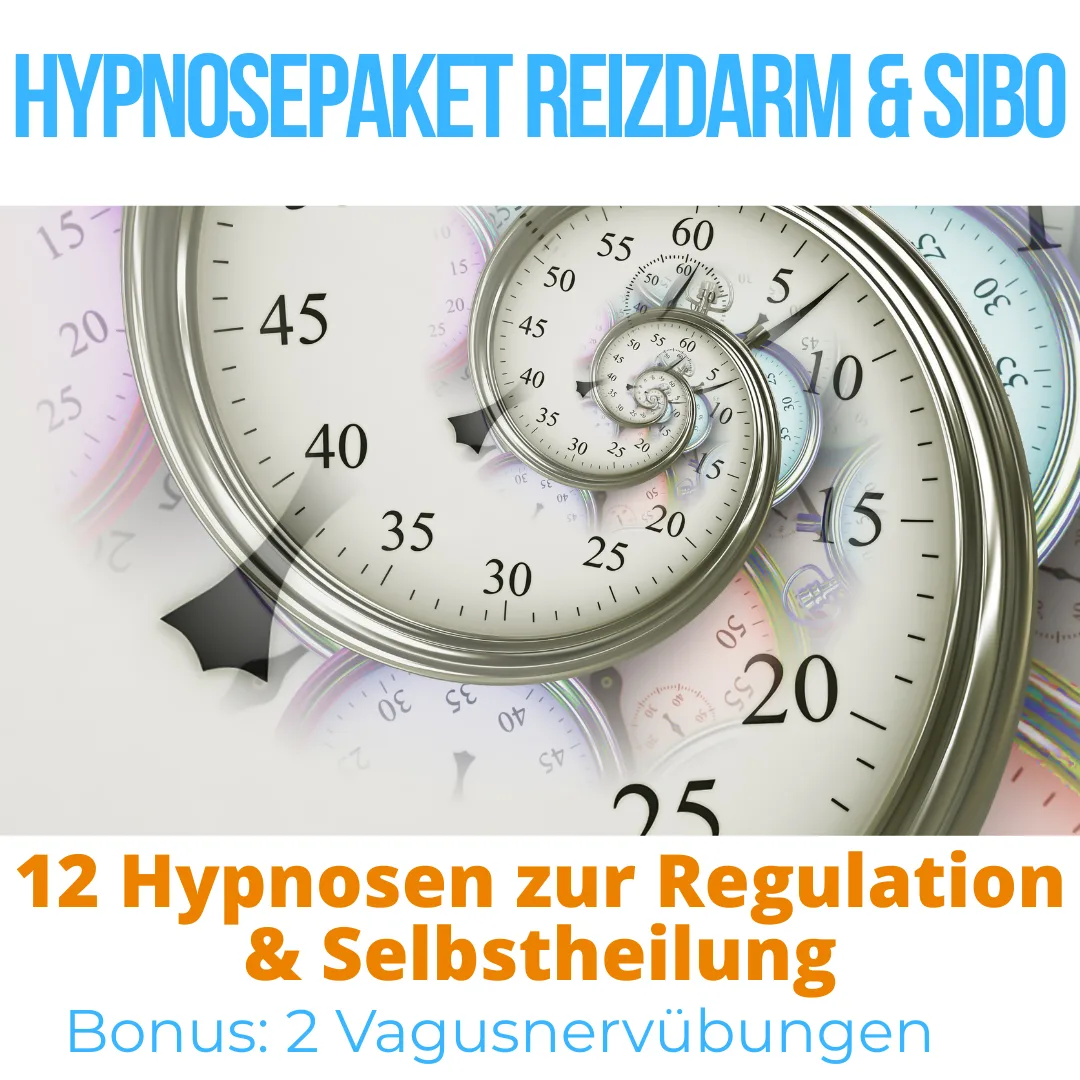 Hypnosepaket Reizdarm & SIBO - 12 Hypnosen zur Regulation & Selbstheilung in meiner Praxis Erfolg durch Hypnose in Hannover Isernhagen